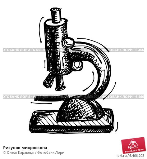 Микроскоп черно белый