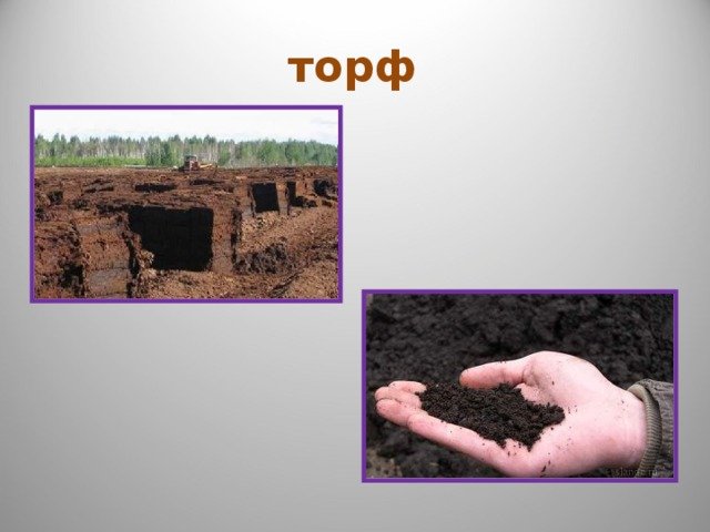 Ископаемые торф