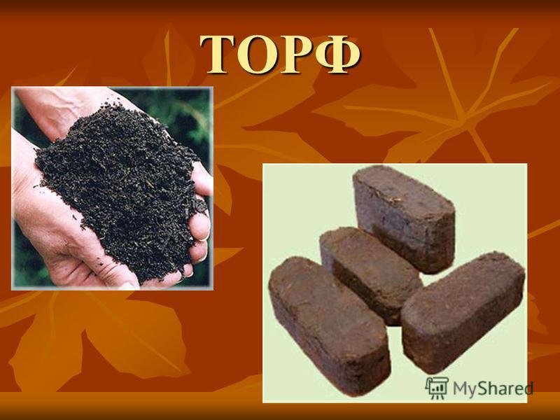 Полезные ископаемые торф