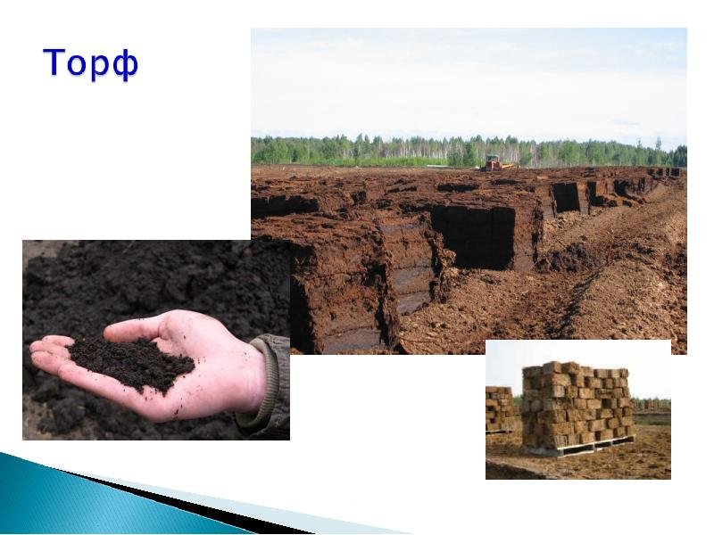 Полезные ископаемые торф