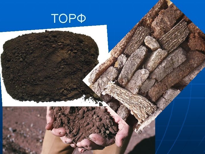 Торф полезное ископаемое
