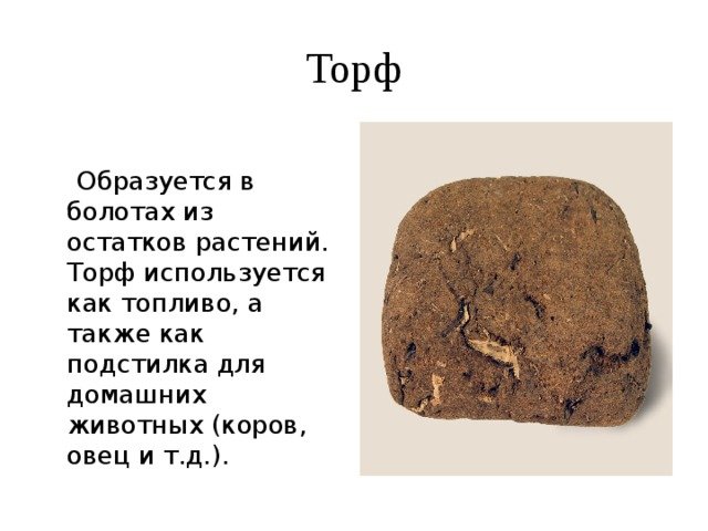 Торф