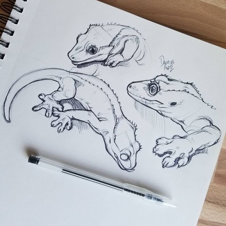 Рисунки для скетчбука карандашом