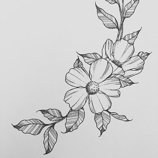 Рисунки цветов карандашом