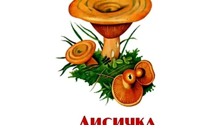Грибы для детского сада