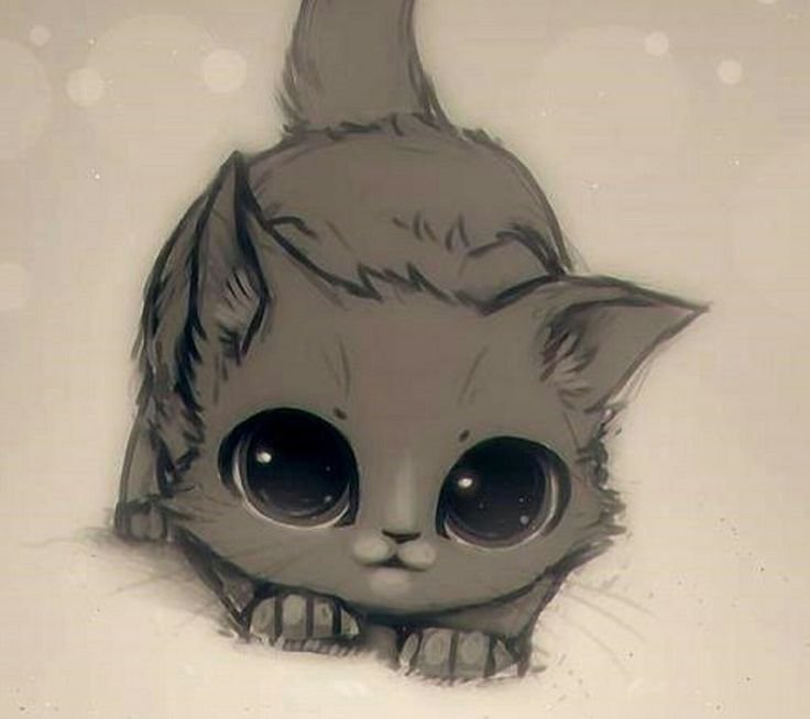 Нарисовать котика