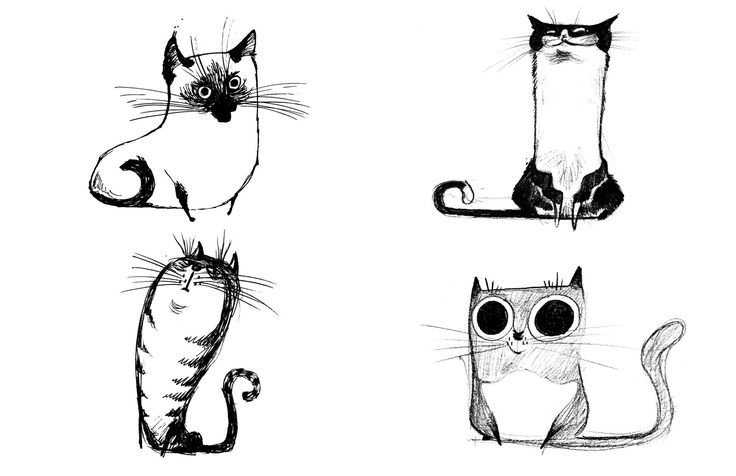 Рисунки для срисовки котики