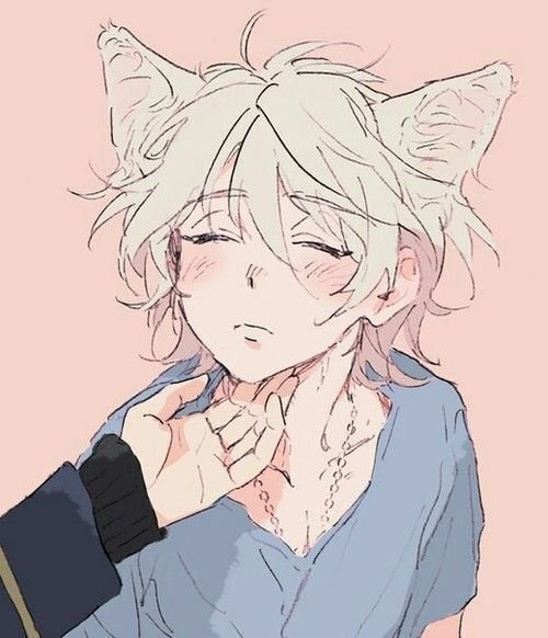Кошкомальчик аниме
