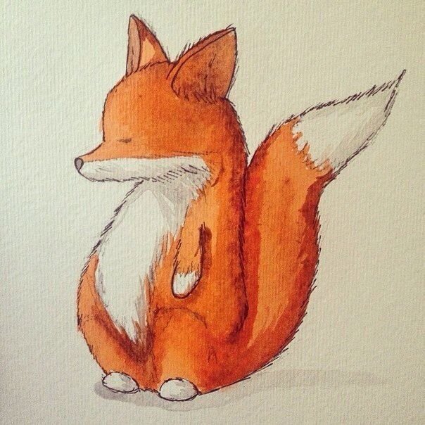 Рисунок лисы