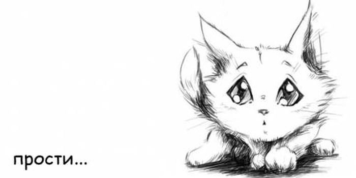 Котики рисунки аниме