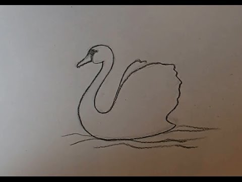 Лебедь рисунок легкий
