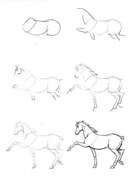 Лошадь рисунок карандашом