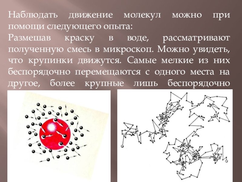 Броуновское движение доклад