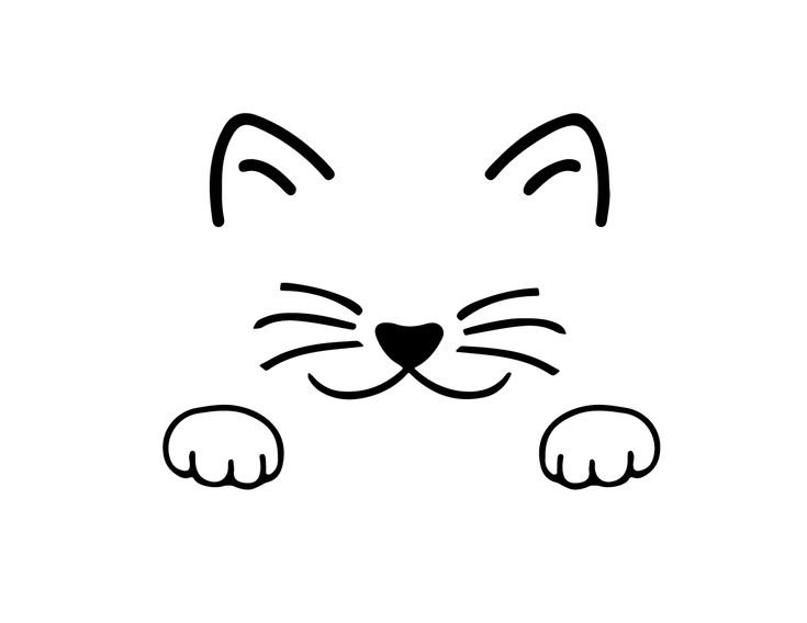 Мордашка котика рисунок