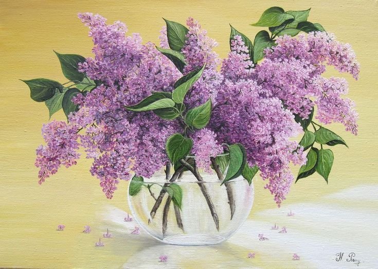Варисова сирень