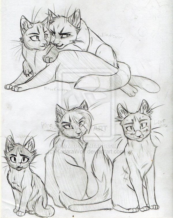 Коты скетчи