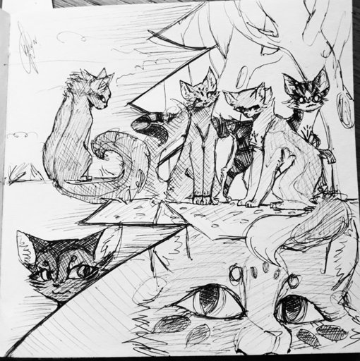 Скетчи котов воителей