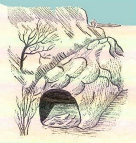 Нора нарисованная