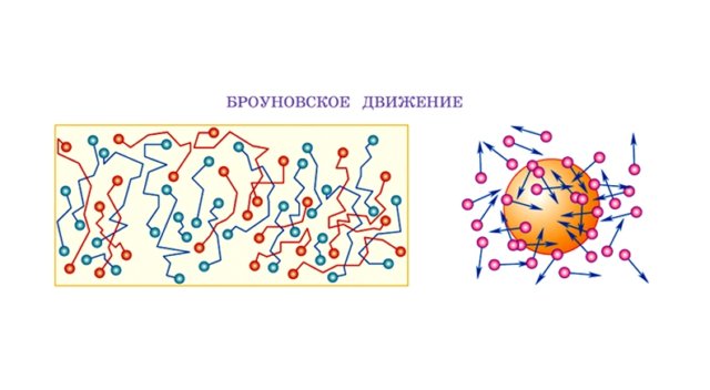 Роберт Броун броуновское движение