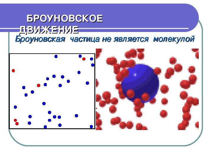 Броуновское движение частиц