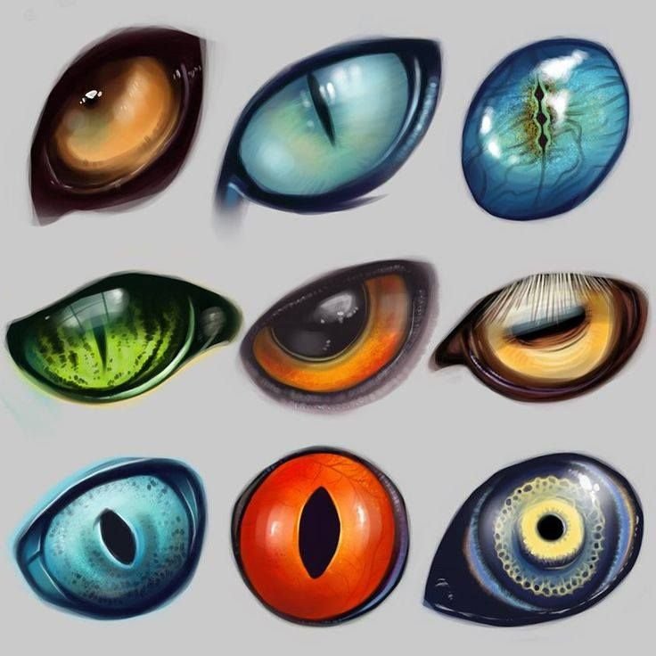 Глаза дракона (Dragon Eyes)