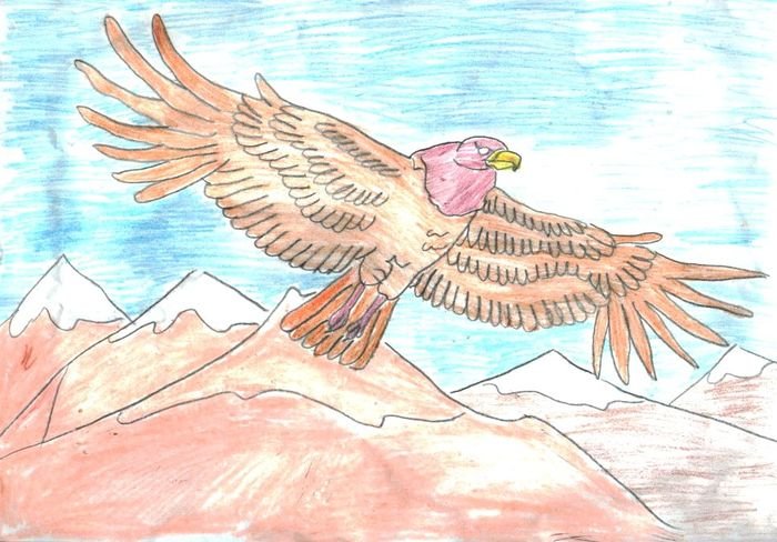 Степной Орел рисунок