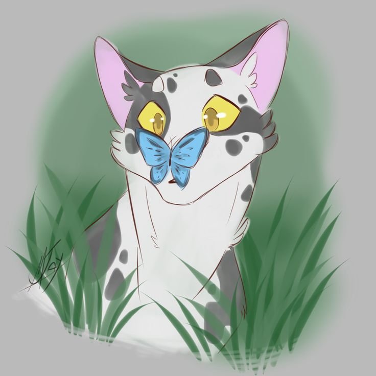 Коты Воители marymsjay