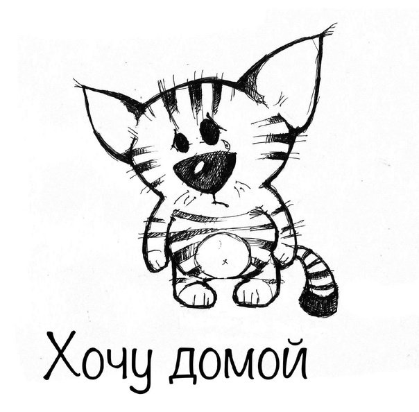 Рисунки котов для срисовки