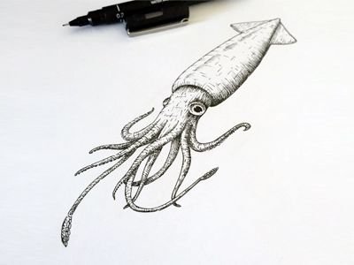Кальмар эскиз