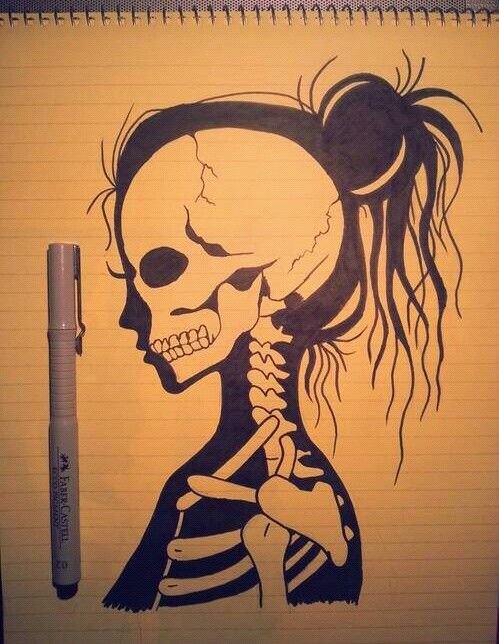 Рисунки скелета для срисовки