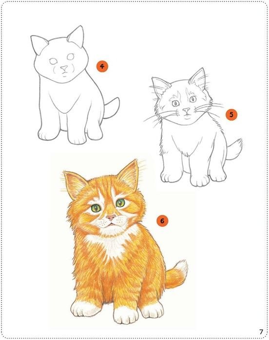 Схема рисования кошки для детей