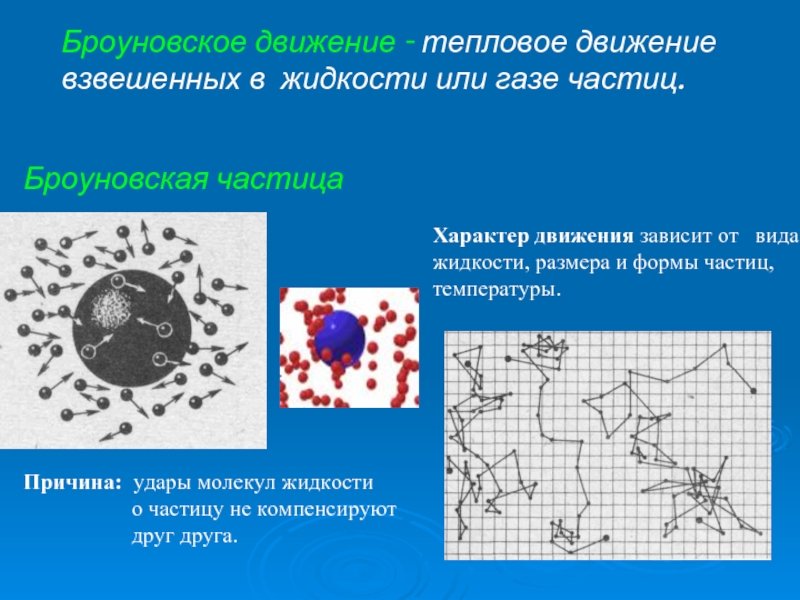 Броуновское движение схема