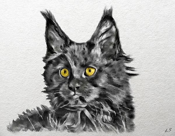 Рисунок Мейн куна