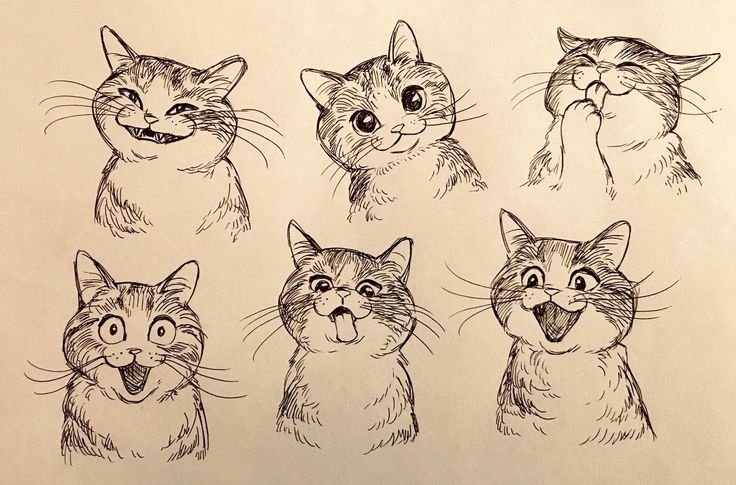 Кошка эскиз