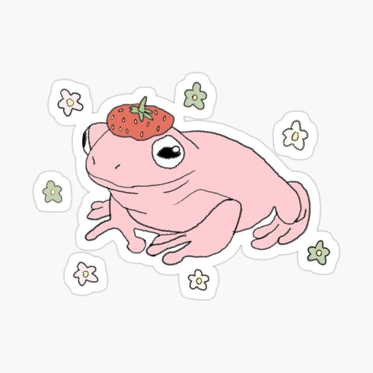 Лягушка инди КИД жабки
