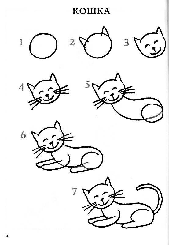 Схема рисования кошки для дошкольников