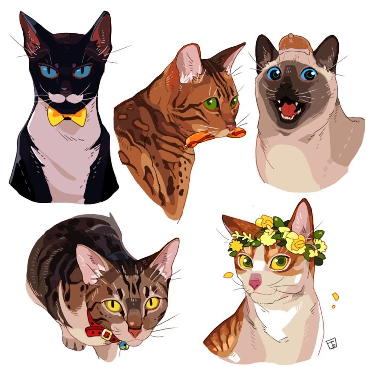 Кошки арты