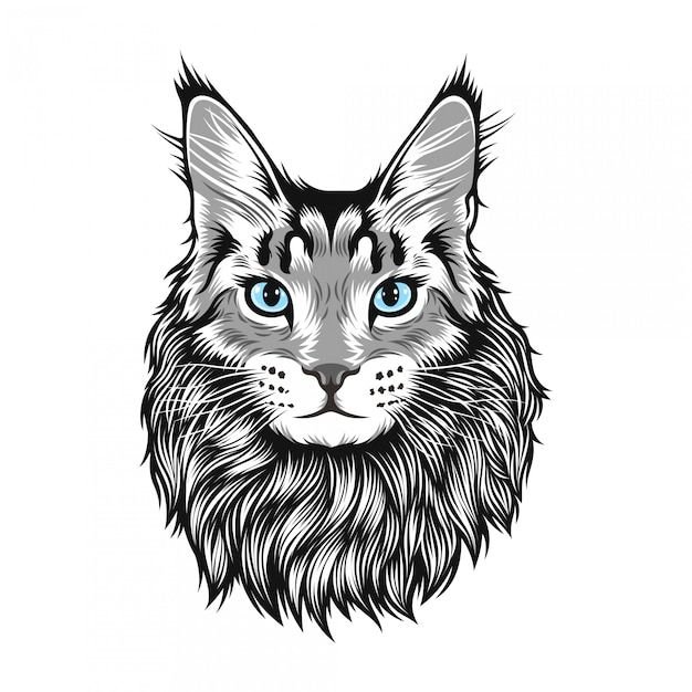 Кошка Мейн кун