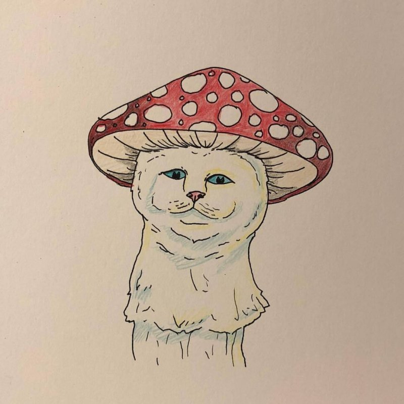 Кот мухомор