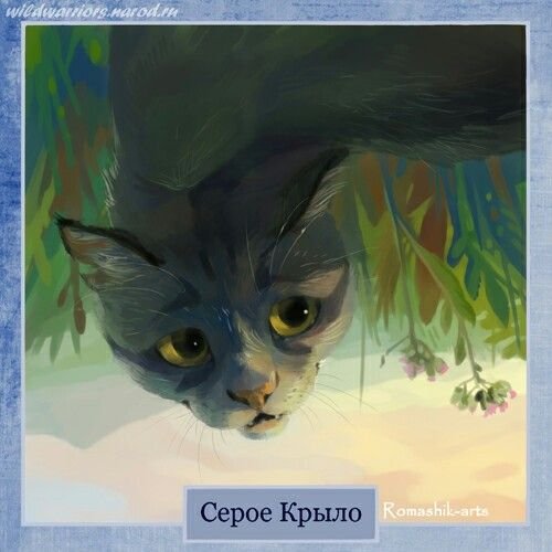 Коты Воители серое крыло и Сланница