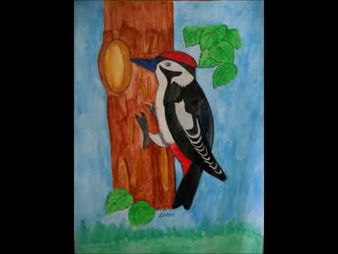 Детские рисунки дятел