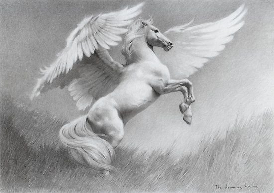 Пегас эскиз