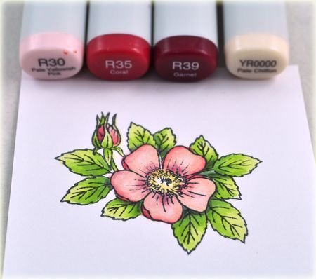 Рисунки маркерами