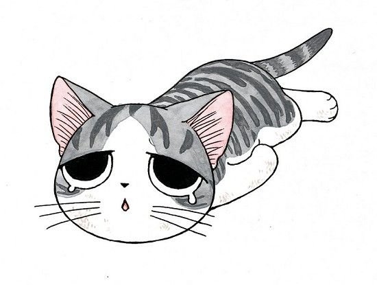 Котенок Чии