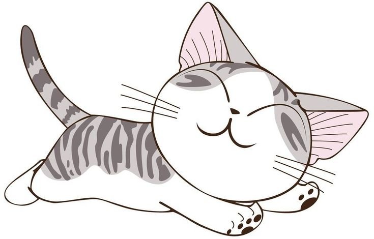 Котенок Чии