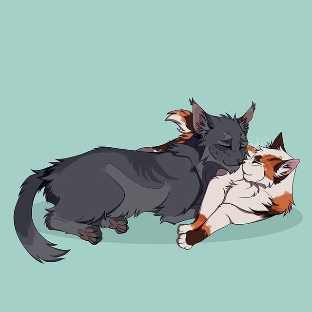 Коты Воители Серокрыл