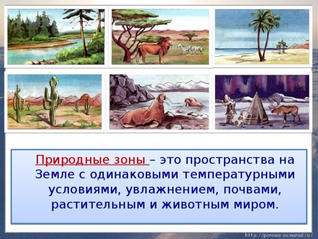 Определи природную зону по картинке