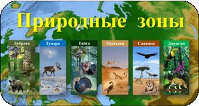 Природные зоны для дошкольников