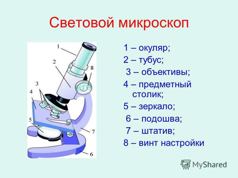 Микроскоп строение микроскопа
