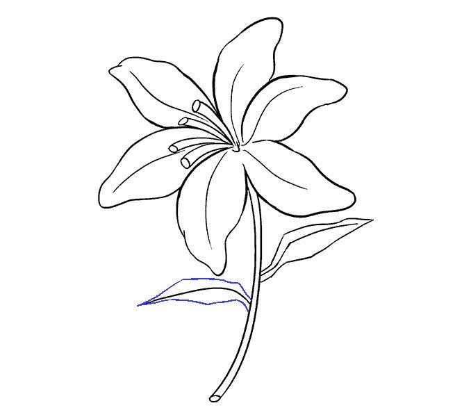 Рисунки цветов карандашом